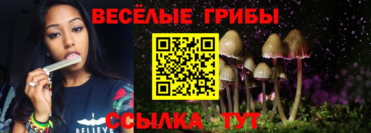 Бугуруслан  Галлюциногенные грибы Psilocybine cubensis  Псилоцибиновые грибы Psilocybe  Вход с VPN 